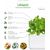 Click & Grow Smart Garden uzpilde Salāti 3gb.