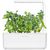 Click & Grow Smart Garden refill Dwarf Pea 3 шт