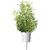 Click & Grow Smart Garden refill Rosemary 3pcs