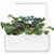 Click & Grow gudrā augu dārza uzpilde Sarkanais lapu kāposts 3gb.