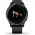 Garmin Venu GPS Smartwatch Slate / Black