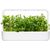 Click & Grow Smart Garden refill Apple Mint 3pcs