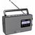 Panasonic RF-D 10 EG-K black