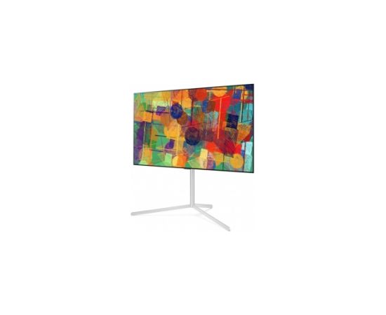 LG TV GRĪDAS KRONŠTEINS ACC FLOOR STAND/FS21GB.AL