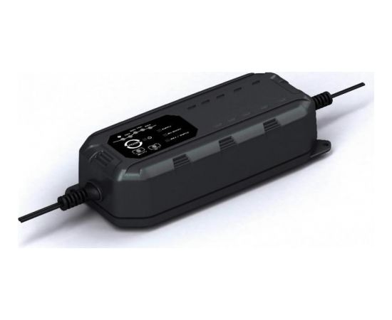 Smart battery charger 12/24V 25A IP44, , Lemania