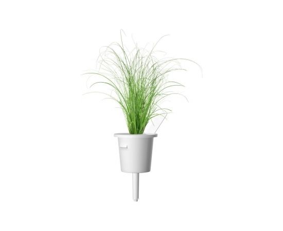 Click & Grow Smart Refill Ornamental Grass 3pcs