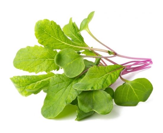 Click & Grow Smart Refill Leaf Radish 3pcs Viedais dārzs