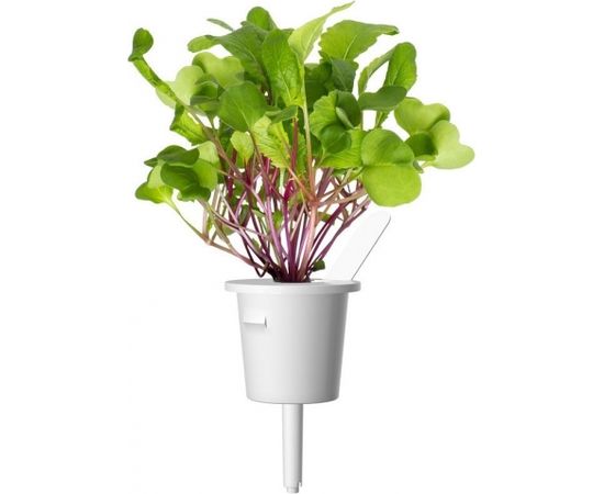 Click & Grow Smart Refill Leaf Radish 3pcs Viedais dārzs