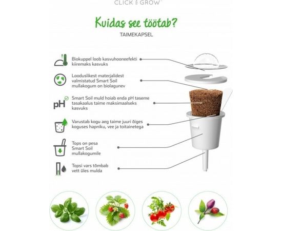 Click & Grow Smart Refill Тосканская капуста кале 3 шт.