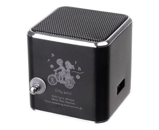 RoGer Bluetooth Wireless Speaker Беспроводная колонка с FM Radio / Handsfree / LED / AUX / USB / 3W / Черная