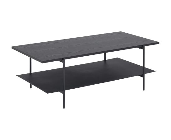 Coffee table ANGUS, 115x60xH40cm, black