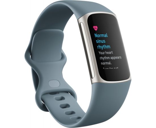 Fitbit Charge 5, steel blue/platinum