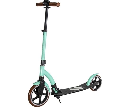 Skrejritenis Story Retro Ride Mint