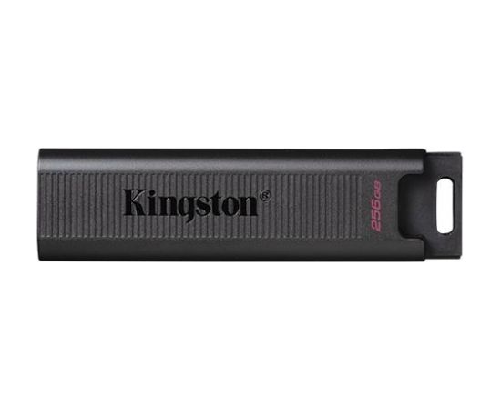 MEMORY DRIVE FLASH USB3.2/256GB DTMAX/256GB KINGSTON