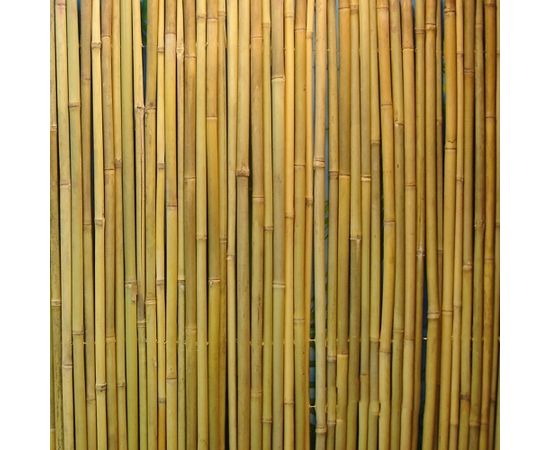 Perforēts bambusa žogs IN GARDEN 1x3m, dabīgais bambuss D14/16 mm, stieple iekšpusē