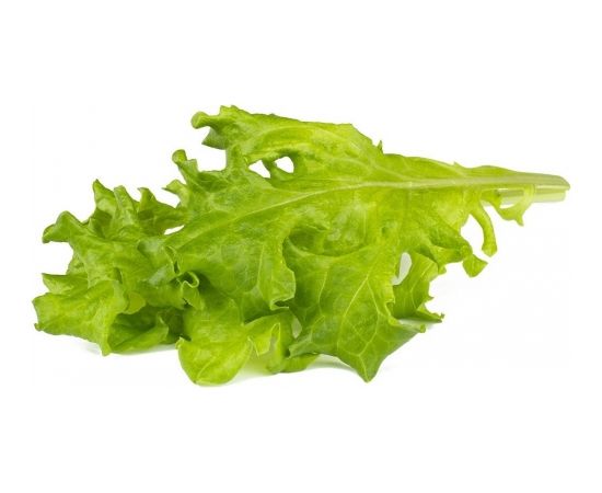 Click & Grow Smart Refill Oakleaf Lettuce 3pcs