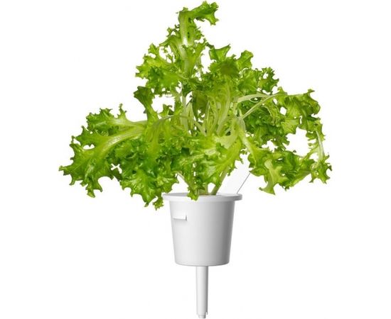 Click & Grow Smart Refill Oakleaf Lettuce 3pcs