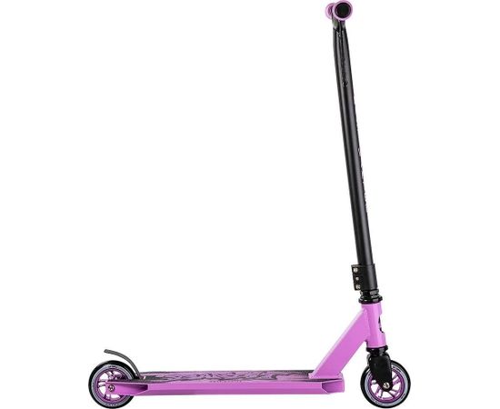Triku skrejritenis Story Bandit DOS Purple