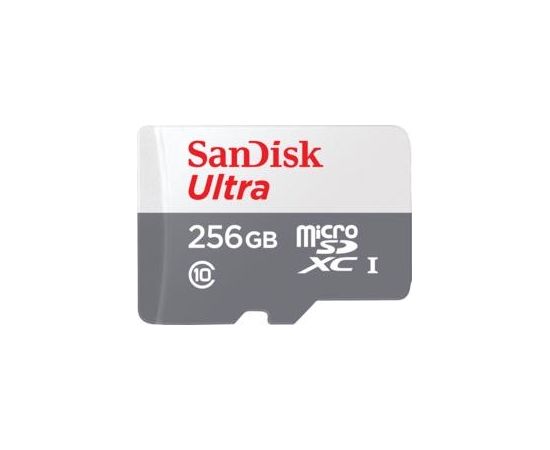 MEMORY MICRO SDXC 256GB UHS-I/SDSQUNR-256G-GN6TA SANDISK