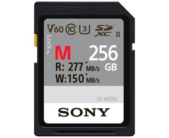 Atminties kortelė Sony SDXC Professional 256GB Class 10 UHS-II