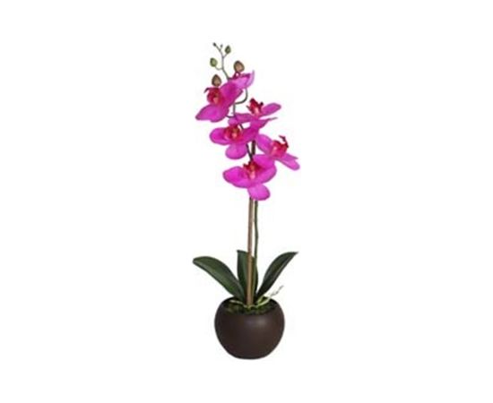 Фиолетовая орхидея с 1 веткой IN GARDEN, H46см, черный горшок
