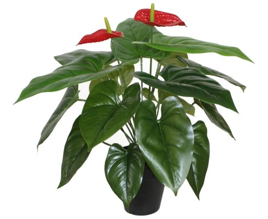 Искусственное растение ANTHURIUM H45см, фламинго, чёрный горшок