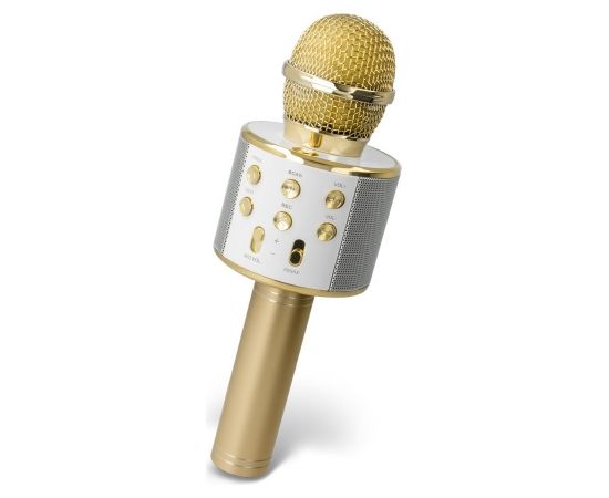 Forever BMS-300 Bluetooth 4.0 Karaoke Mikrofons Ar iebūvētu Skaļruni / 3W / Aux / Balss Modulators / USB / MicroSD / Zelta