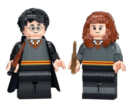 LEGO Harijs Poters un Hermione Grendžera (76393)