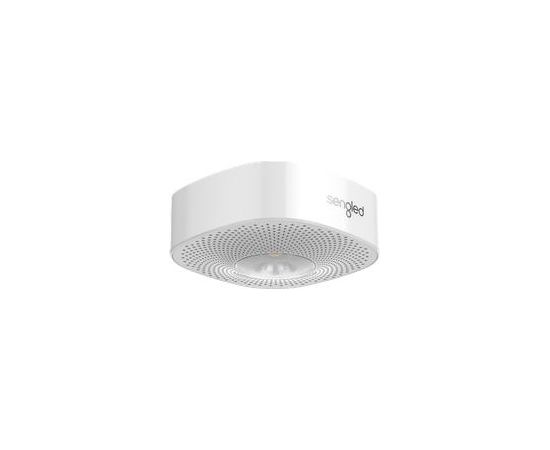 Sengled wave satellie ceiling white