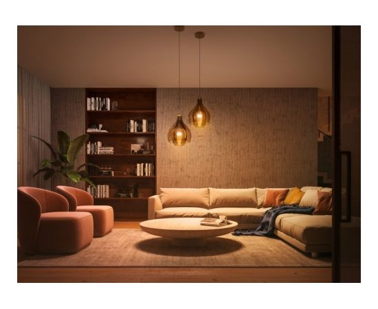 Philips Hue WA 8W A60 E27