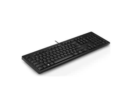 HP USB Wired Desktop 125 Keyboard - RUS / 266C9AA#ACB