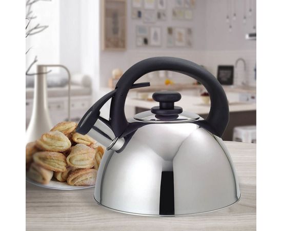 Feel-Maestro MR1302 kettle 2.5 L Stainless steel