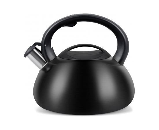 Kettle PROMIS TMC01BS AUGUSTO MATTE 3 liters INDUCTION, GAS