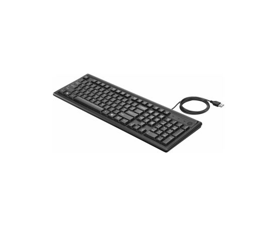 HP Keyboard 100 Black