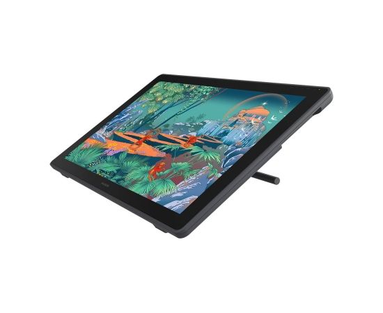 HUION Kamvas 24 graphic tablet 5080 lpi 526,85 x 296,35 mm USB-C Dark grey