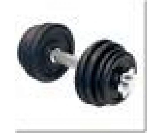 HMS SG01 threaded dumbbell 7 kg