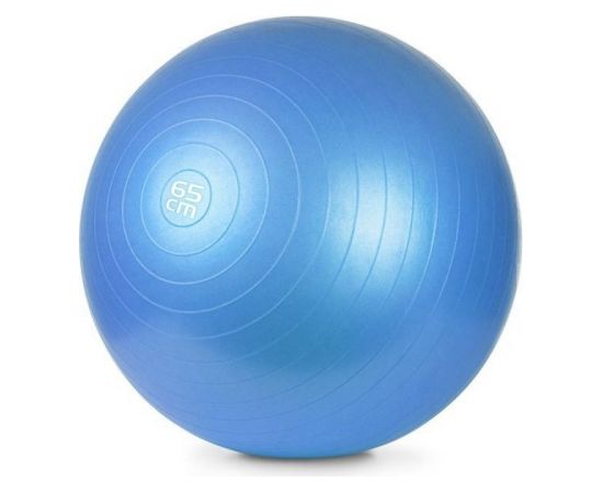 Meteor gym ball 65 cm with pump blue 31133