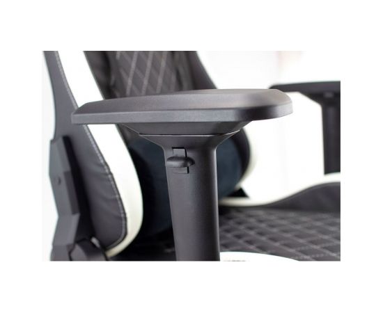 White Shark NITRO-GT Gaming Chair Nitro GT black/white