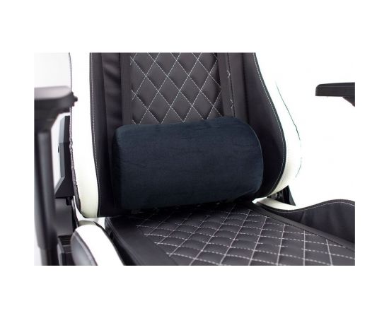 White Shark NITRO-GT Gaming Chair Nitro GT black/white