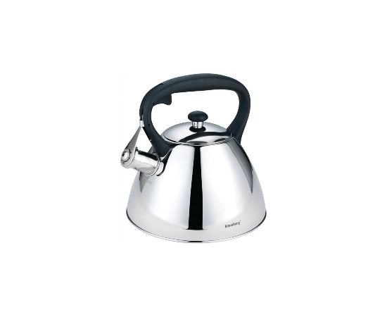 PROMIS TMC19 Kettle 3.0 l, AMADEO, silver, black handle Tējkannas (ar svilpi)