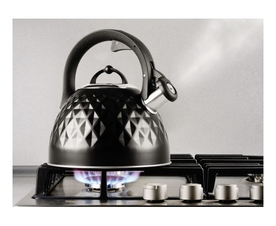 Steel kettle Promis TMC-14 - MARCO