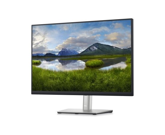 DELL P Series P2423 61 cm (24") 1920x1200 pixels WUXGA LCD Black, Silver