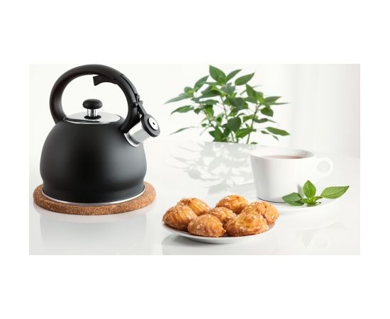 TMC11G PROMIS Kettle 2.0 l, MATEO, gray Tējkannas (ar svilpi)