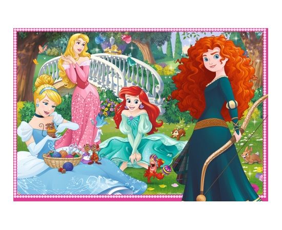 RAVENSBURGER puzzle Disney Princess 2x12p, 7620