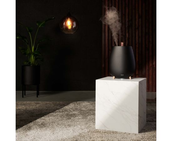 Duux Humidifier Gen2  Tag  Ultrasonic, 12 W, Water tank capacity 2.5 L, Suitable for rooms up to 30 m², Ultrasonic, Humidification capacity 250 ml/hr, Black Очистители воздуха