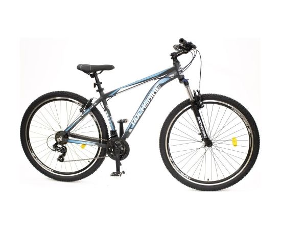 ROCKSBIKE 29" AIM 1.2 GREY/BLUE kalnu veposipēds