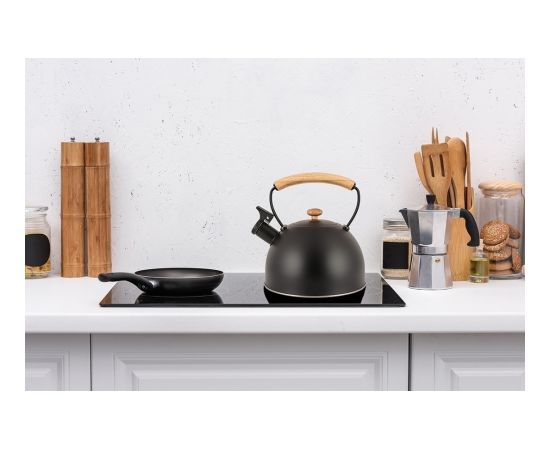 Steel kettle Promis TMC-15B - CLARA