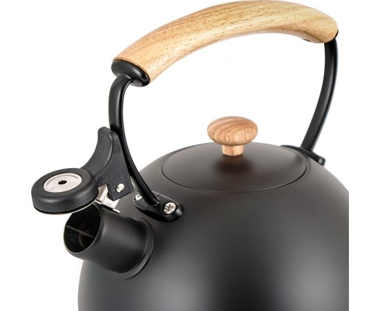 Steel kettle Promis TMC-15B - CLARA
