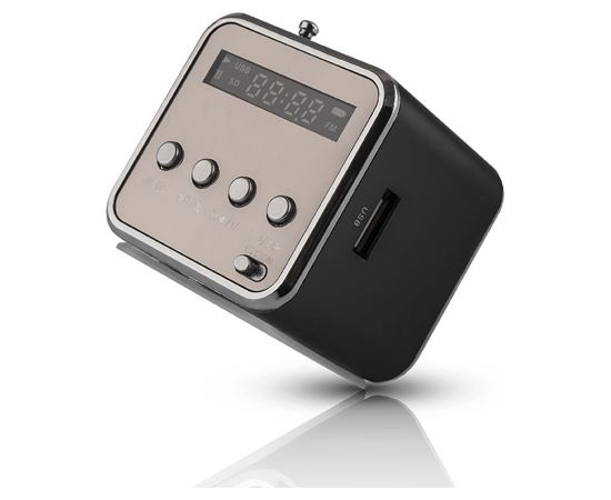 Setty MF-100 Skaļrunis ar FM Radio / Micro SD / USB / Aux