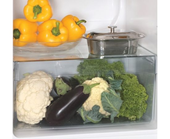 Snaige FR26SM-PRJ30E Ledusskapji